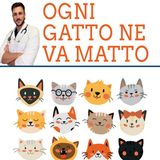 Luca Giansanti: la risposta giusta per la cura del tuo gatto