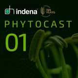Phytocast 01: A journey through time