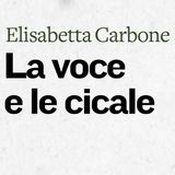 Elisabetta Carbone "La voce e le cicale"