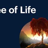 We Studied the Tree of Life in the Bible (Here_s What We Found)