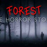 3 True Deep Forest at Night Horror Stories