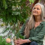 Forudsigelse juni - Der er ekspansion på alle planer, hjerteenergi,  manifestation af drømme ... ✨