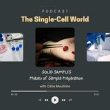 Ep. 08: Solid Samples: phases of sample preparation
