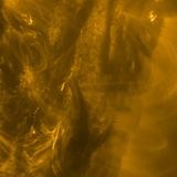 880-Carrington Anticipated