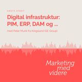 Afsnit #48: Digital infrastruktur: PIM, ERP, DAM og ...