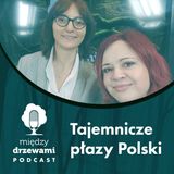 Między Drzewami #61 Tajemnicze płazy Polski [dr Renata Krzyściak-Kosińska]