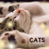 CATS podcast (Let's appreciate them more!) // PodcastElla