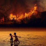 Perché l'Amazzonia brucia