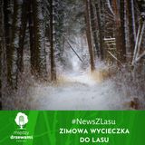 News z Lasu - Zimowa wycieczka do lasu [opowiada Michał Wieciech]