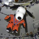 A caccia di Snoopy