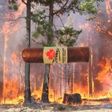 What's up with the wildfires