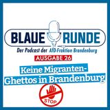 Keine Migranten-Ghettos in Brandenburg! | Die Blaue Runde, Ausgabe 26/23 vom 12.03.2023