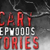 7 True Scary Deep Woods _ Camping Horror Stories