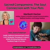 Sacred Companions The Soul Connection with Your Pets