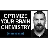 Optimize & Control Your Brain Chemistry to Improve Health & Performance _ Huberman Lab Podcast #80
