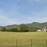 Campagna Festari, la replica del Comitato “smonta” il progetto Fenice: “Pretendiamo trasparenza”