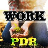 PDR - Work
