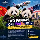Two Pandas, One FedEx Jet: The Secret Diplomatic Mission That Captivated America
