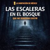 Las Escaleras en el Bosque