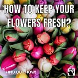How to keep flowers fresh for a longer time?