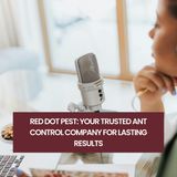 Red Dot Pest: Your Trusted Ant Control Company for Lasting Results