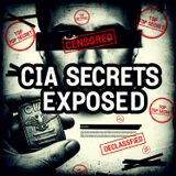 "WE MAKE PEOPLE DISAPPEAR": CIA Spy Exposes Torture, Sociopaths & Black Ops