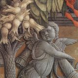 De Jongen en de Hazelnoten | Aesopus Fabels
