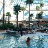 Amy Sherman: Visit Wawyé Oasis at Gun Lake Casino Resort for a tropical experience (WPHM, Dec. 12)