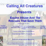 Equine Abuse and the Rescues That Save Them