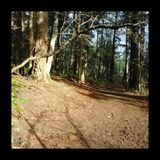 Friday Trails (on Saturday)