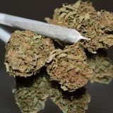 Consommation de stupéfiants à Zinder : causes et solution (Tous à la Fada)