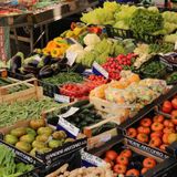 La rivoluzione plant-based in nutrizione clinica: una nuova frontiera per l'assistenza infermieristica