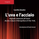 Pare un Libro Stampato  - "L'Uva e l'Acciaio'" di Camilla Ghedini con l'introduzione di Paolo Govoni