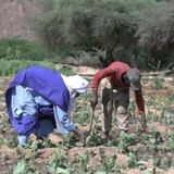 Timia : des jeunes mobilisés autour d’activités génératrices de revenus (Tous à la fada)