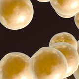 Es Salud: La verdad sobre el metabolismo de las grasas