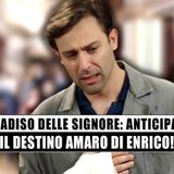 Il Paradiso Delle Signore: il destino amaro di Enrico, Marcello e Rosa in bilico!