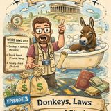 Donkeys, Laws, and Travel Stories