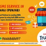 Bulk SMS Service Provider Mohali