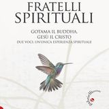 Raffaella Arrobbio "Fratelli spirituali"