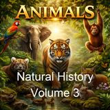Natural History Volume 3 - Pliny the Elder - Part 2