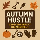 🎧 🍂 Autumn Hustle: A Busy Weekend at the Allotment