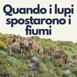 186 - Echi Naturali: Quando i lupi spostarono i fiumi