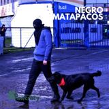 PAW 1x08: NEGRO MATAPAGOS