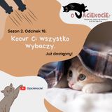 S2E18 - Kocur Ci wszystko wybaczy.