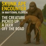 BIGFOOT ENCOUNTERS FROM MAYTOWN FLORIDA (LAKE HARNEY) | IT PICKED UP A DEAD DEER OFF THE ROAD!