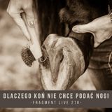 Dlaczego koń nie chce podać nogi - fragment live 218