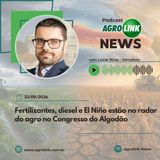 Maior oferta derruba preços de frutas e hortaliças no país em agosto, aponta Conab