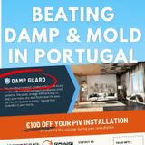 Is It MOLD or MOULD? And How To Get It Under Control in Portugal!