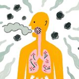Science Based Ways To Naturally Detox Your Body for Better Energy and Health
