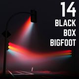 Stop Light Stories 14 - Black Box Bigfoot